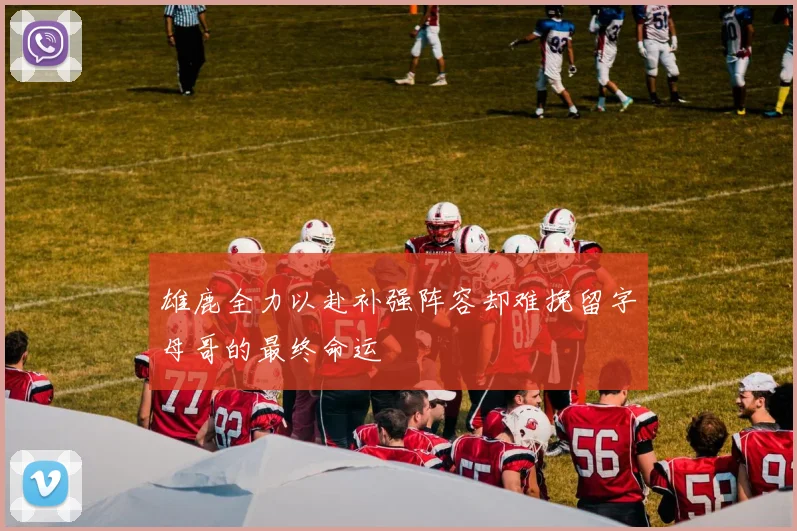 雄鹿全力以赴补强阵容却难挽留字母哥的最终命运