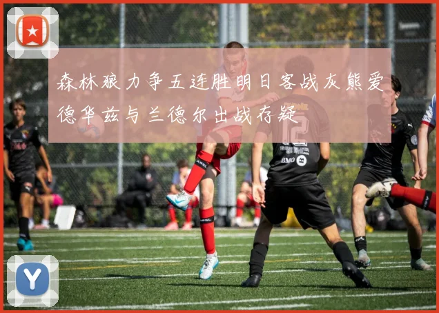 森林狼力争五连胜明日客战灰熊爱德华兹与兰德尔出战存疑